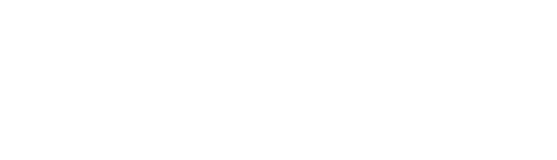 Objects & Concepts